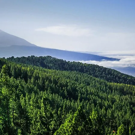 85, Boutique Privada Con Piscina Semesterbostad